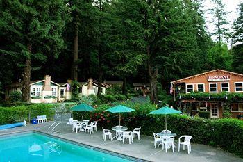 Fern Grove