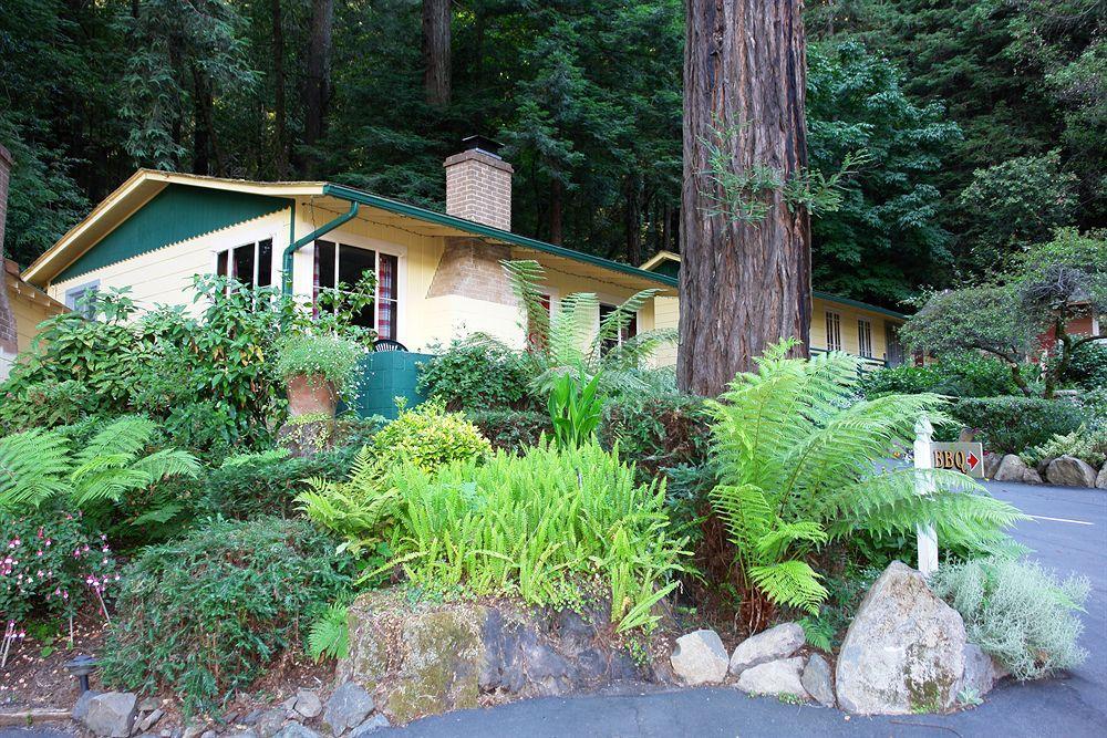 Fern Grove Bed and breakfast Guerneville