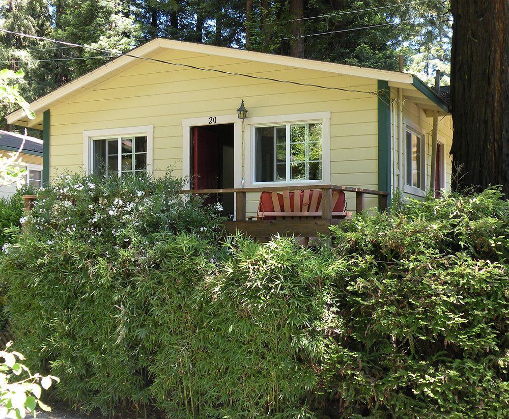 Fern Grove 4*