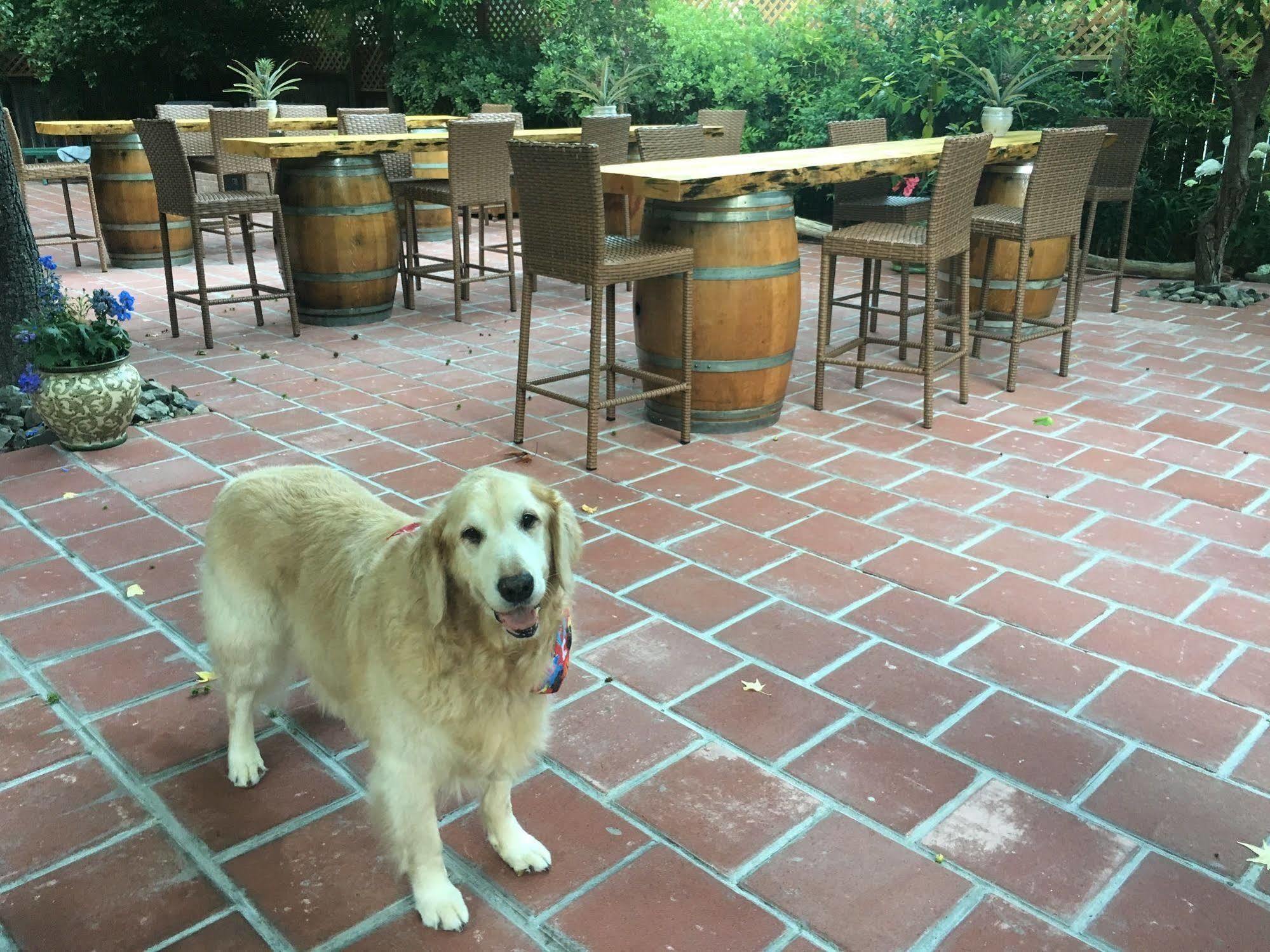 Fern Grove Bed and breakfast Guerneville