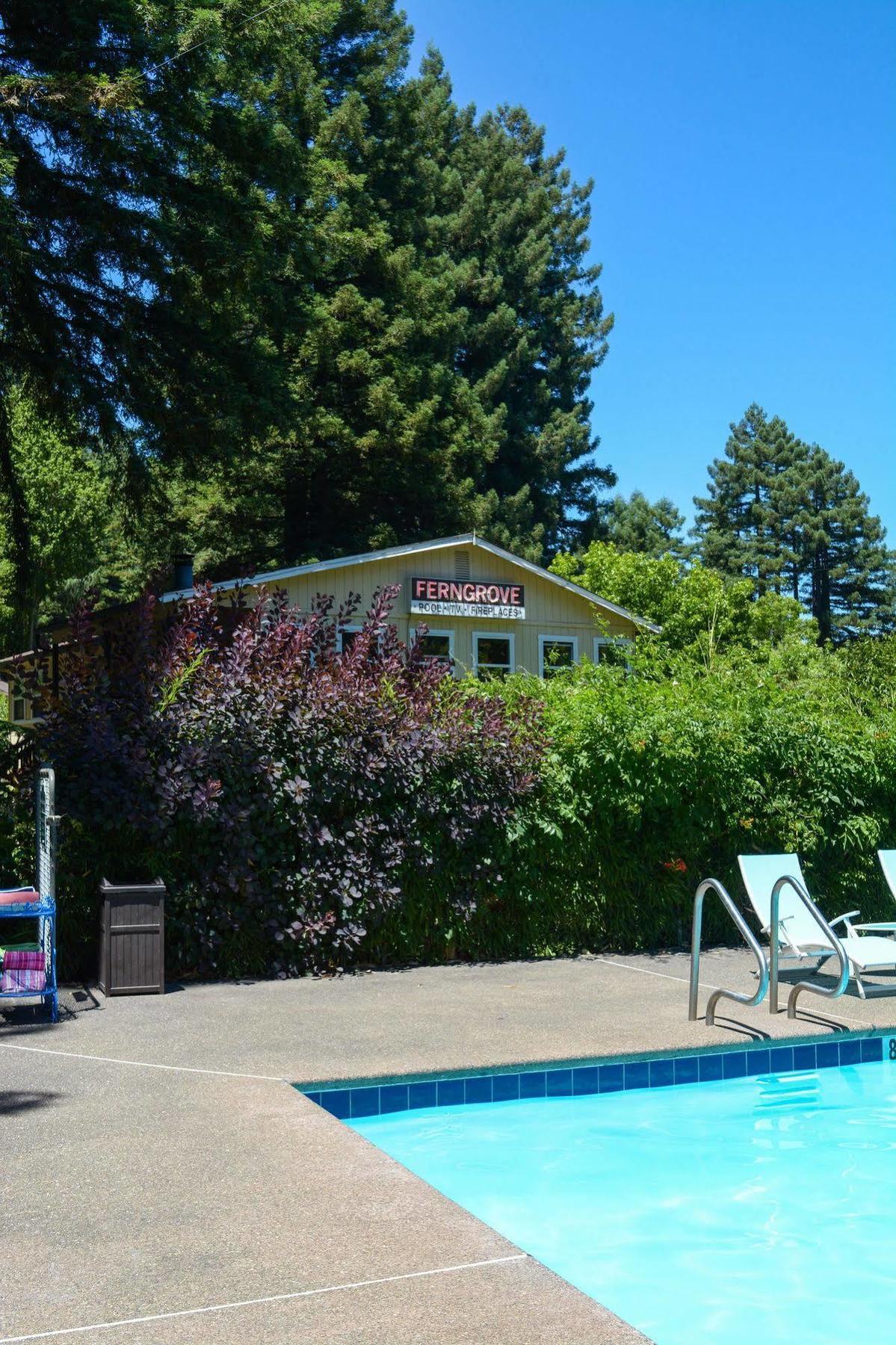 Fern Grove 4*