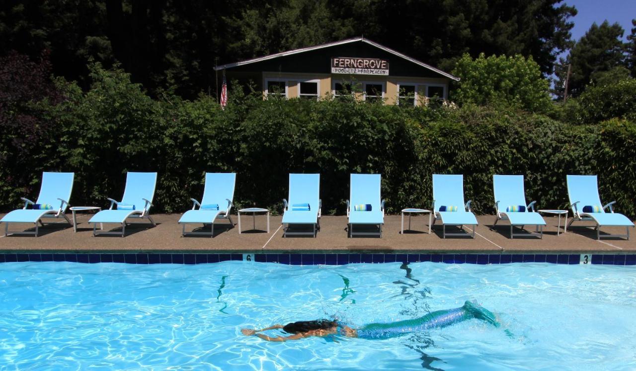 Bed and breakfast Fern Grove 4*