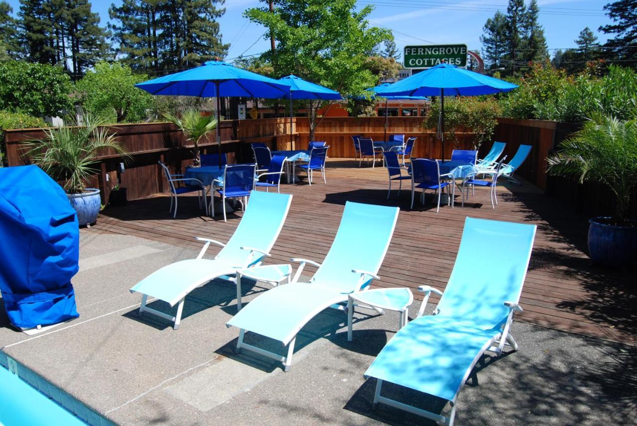 Fern Grove 4*
