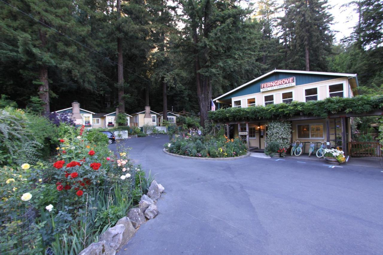 Bed and breakfast Fern Grove
