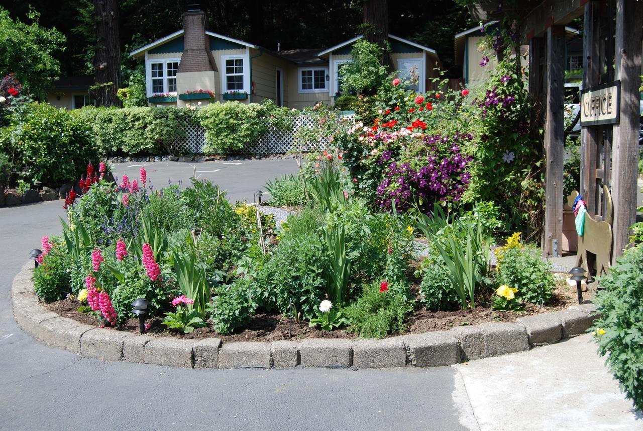 Fern Grove Guerneville