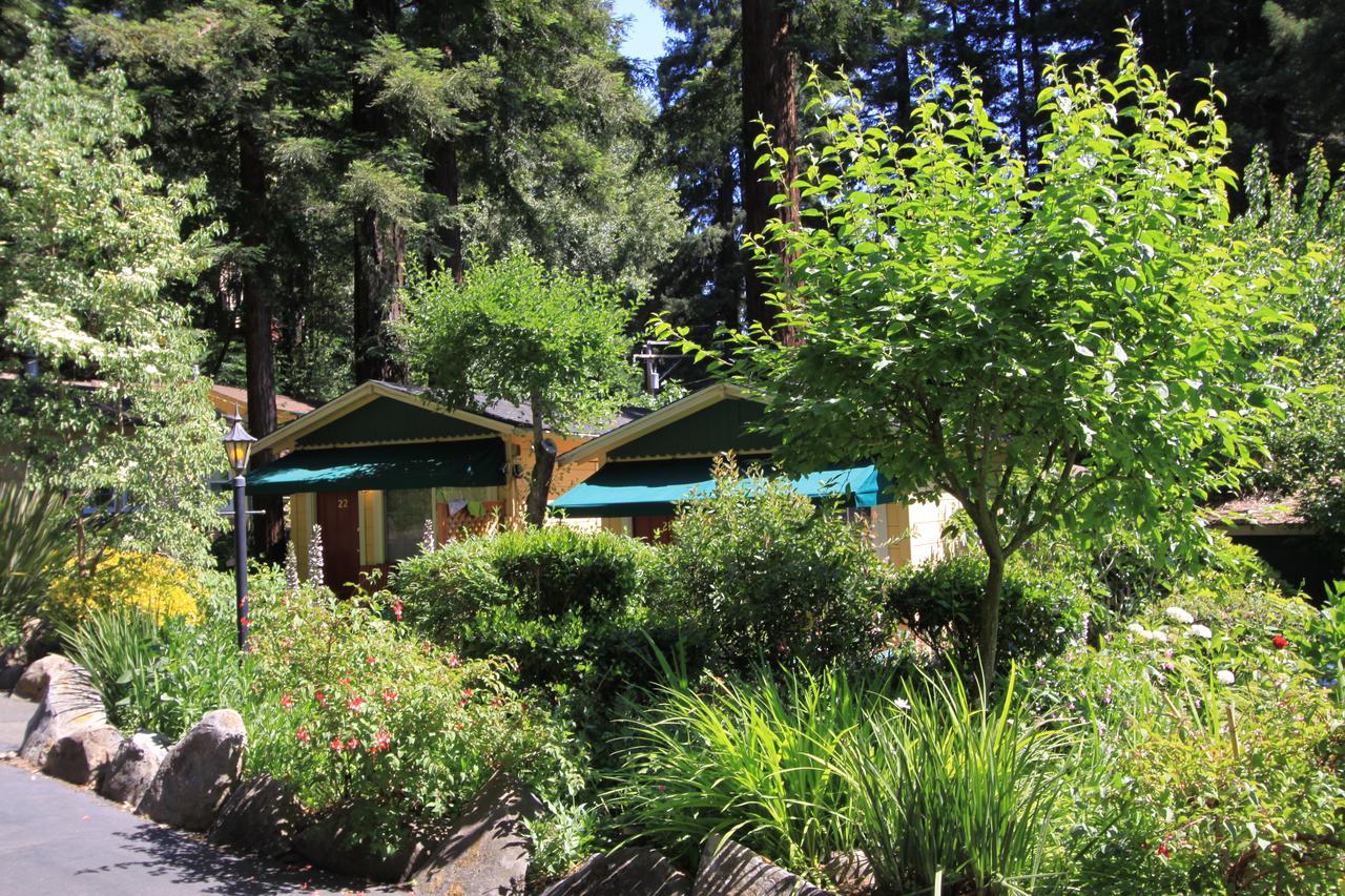 Fern Grove Bed and breakfast 4*