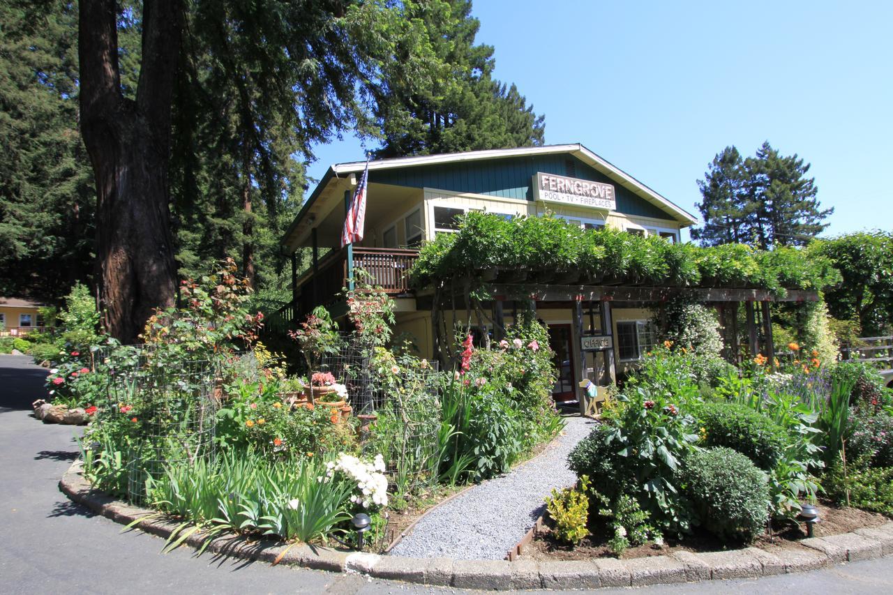 Fern Grove