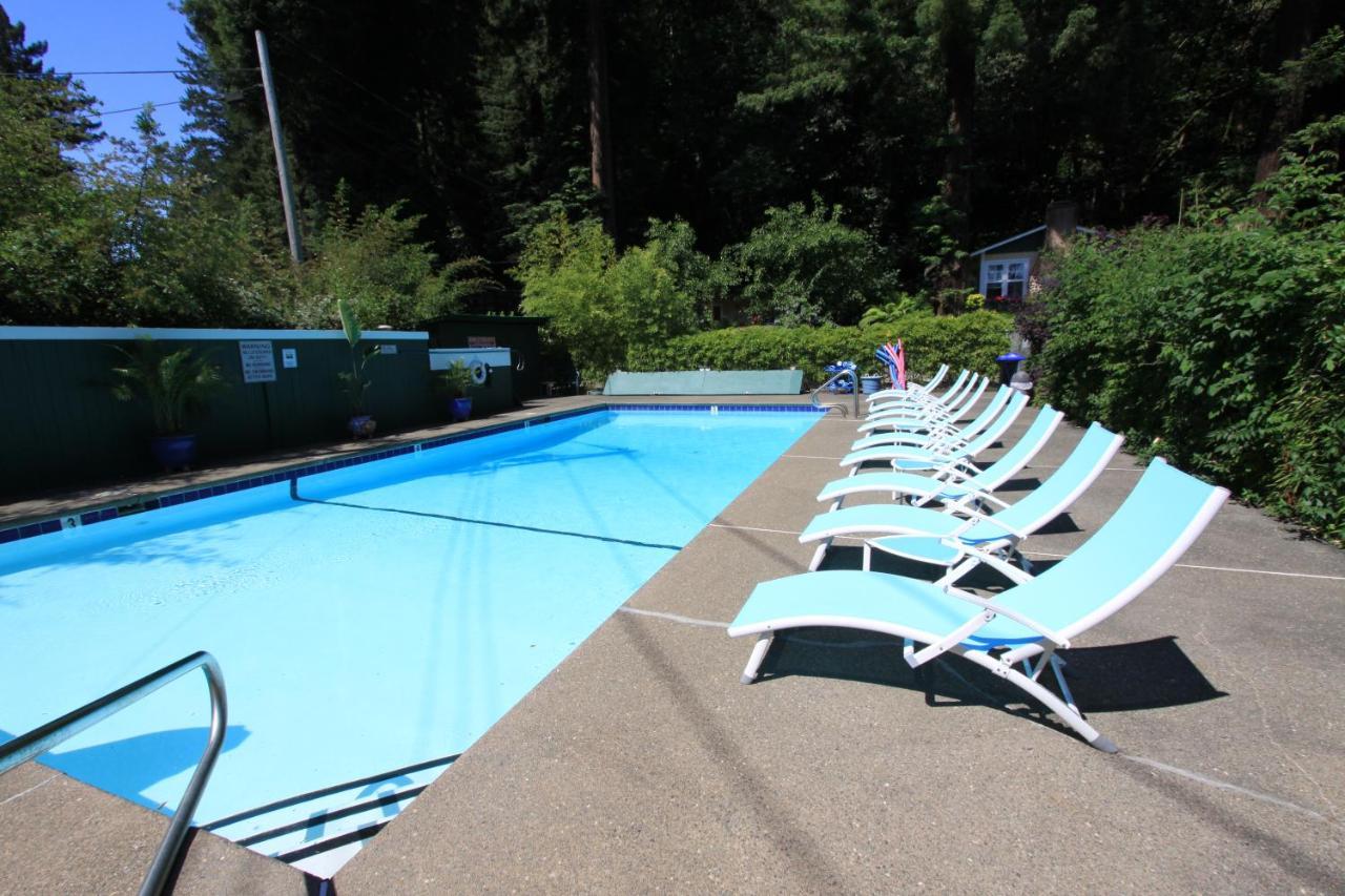Bed and breakfast Fern Grove 4*